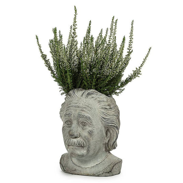 Abbott - Sm Einstein Head Planter-8"H
