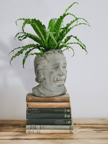 Abbott - Sm Einstein Head Planter-8"H