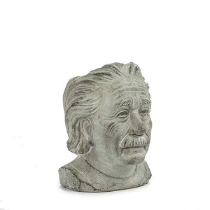 Abbott - Sm Einstein Head Planter-8"H